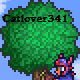 Catlover341