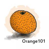 Orange101