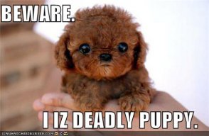 DeadlyPuppies