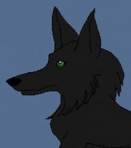 Blackwolf13